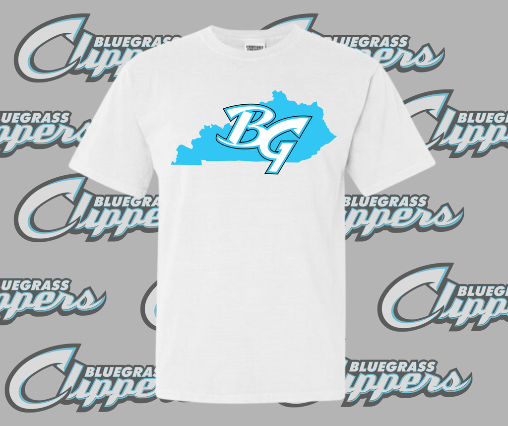 Youth Comfort Colors Tee - Short Sleeve